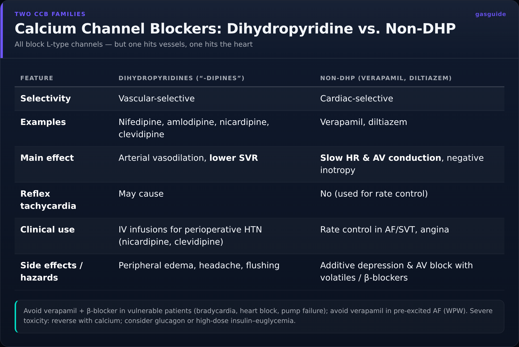 Calcium Channel Blockers: Dihydropyridine vs. Non-DHP — All block L-type channels — but one hits vessels, one hits the heart