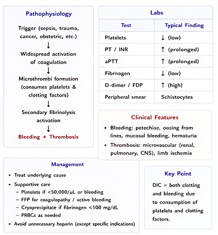 Disseminated intravascular coagulation (DIC) reference card: triggers (sepsis, trauma, OB, cancer), pathophysiology of simultaneous clotting + bleeding, lab pattern (low platelets, low fibrinogen, hig
