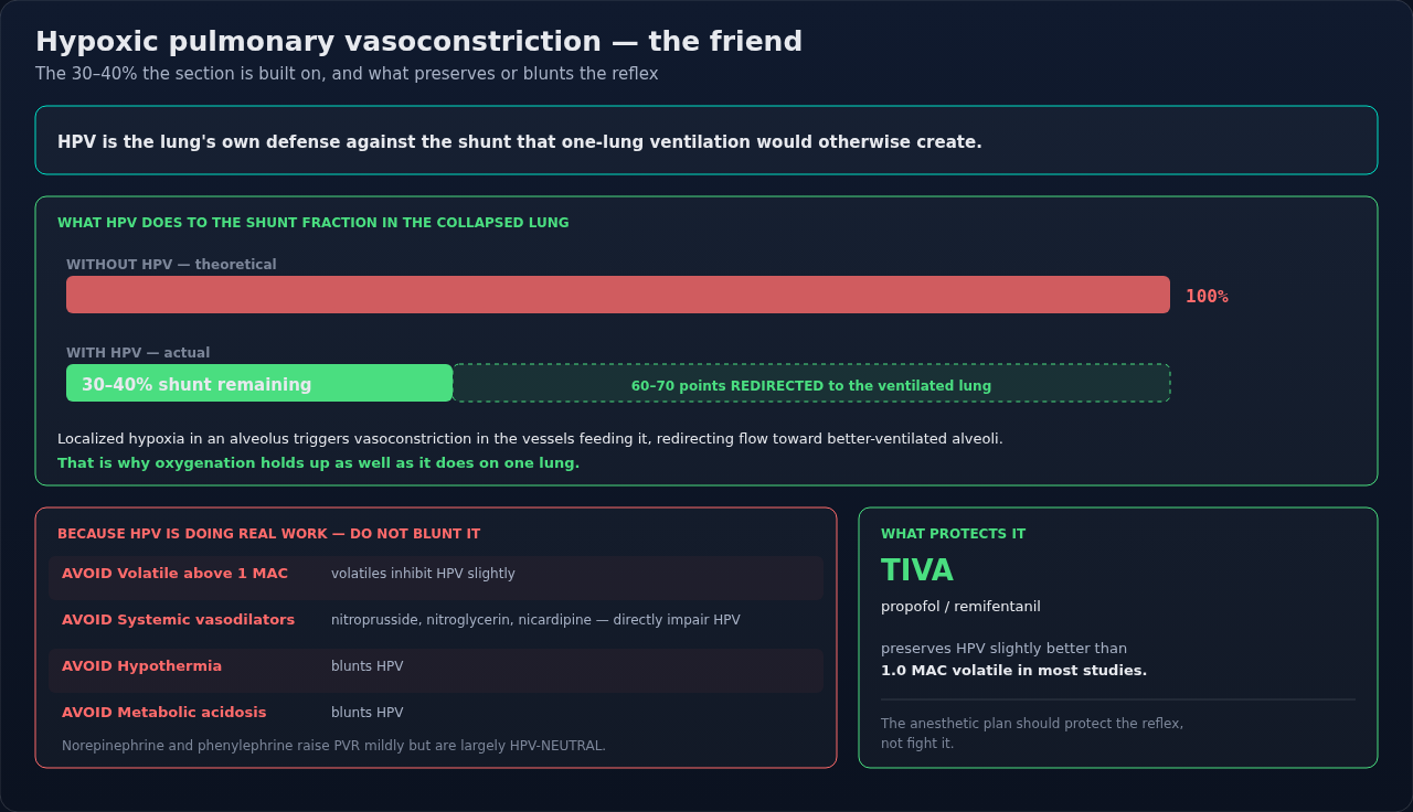 Hypoxic pulmonary vasoconstriction during one-lung ventilation, and the anesthetic choices that either preserve or blunt it. The reflex is doing real work, so the plan is built around not interfering.