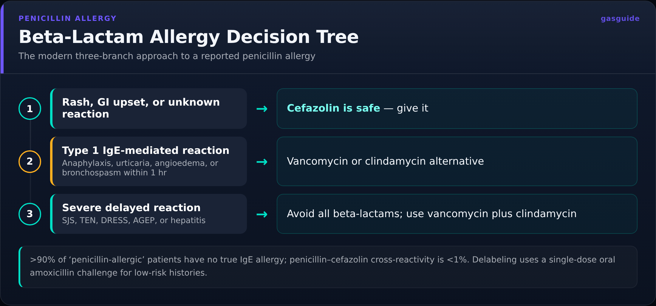 Beta-Lactam Allergy Decision Tree — The modern three-branch approach to a reported penicillin allergy