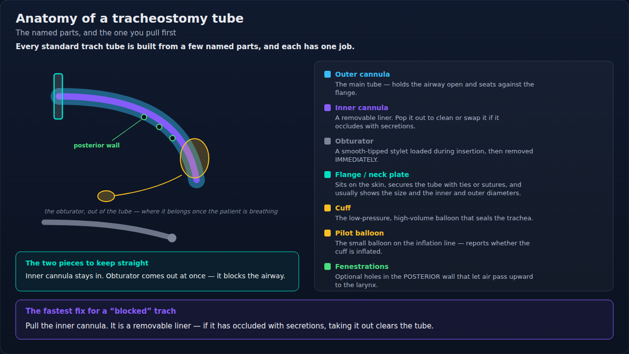 A tracheostomy tube in profile with each named part keyed to what it does. Learn it by function rather than by name alone: some of these pieces come out, and knowing which ones is the useful part.
