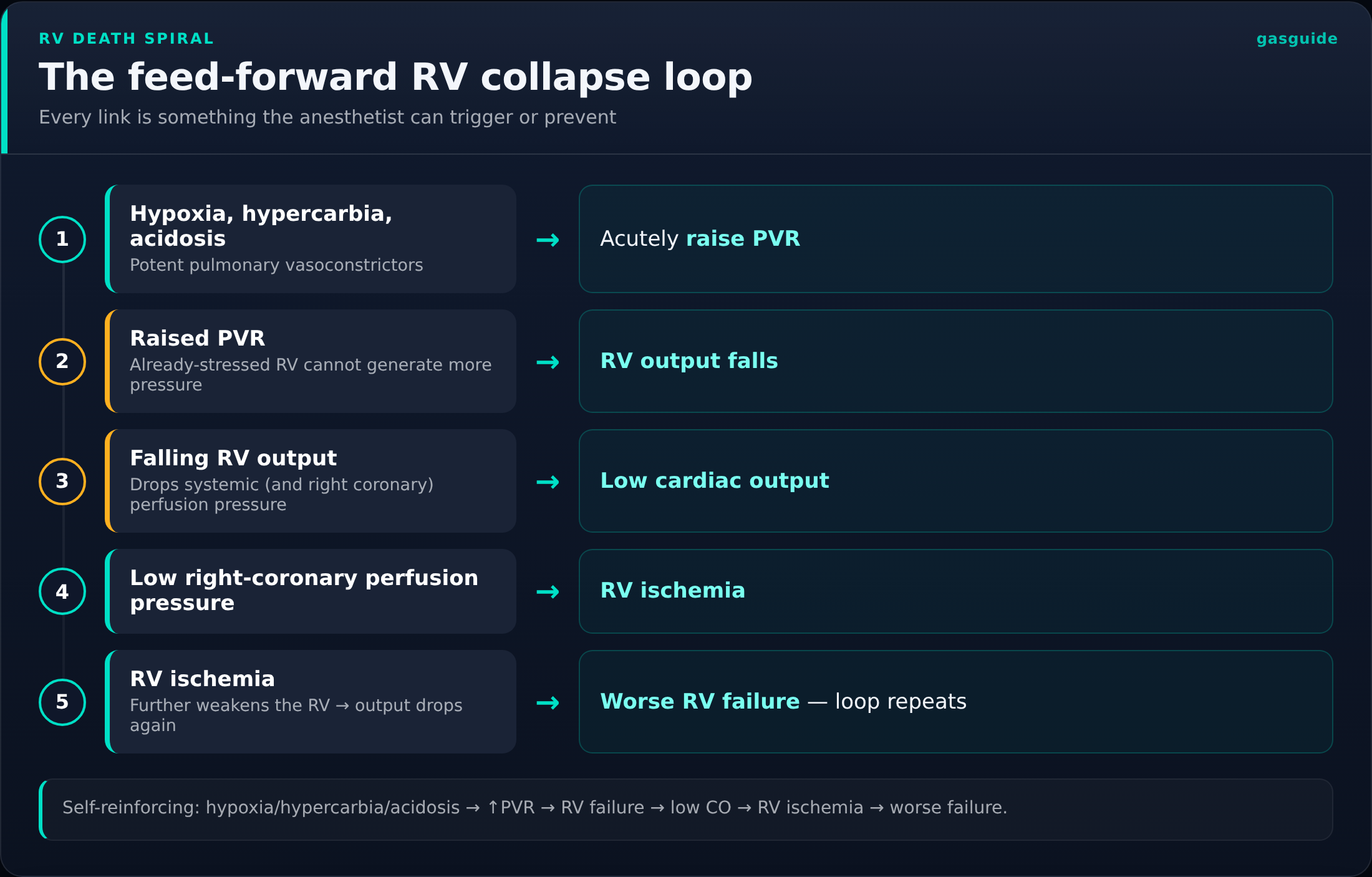 The feed-forward RV collapse loop — Every link is something the anesthetist can trigger or prevent