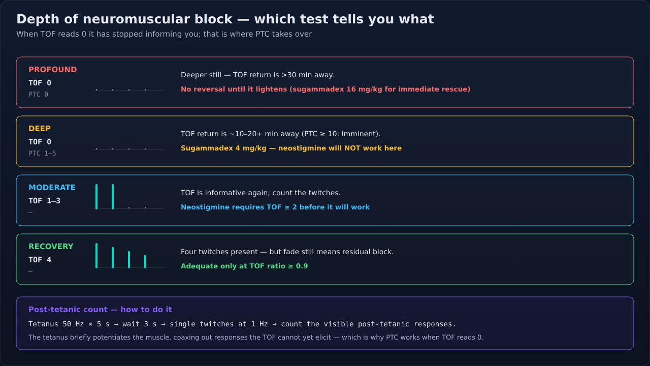 Profound, deep, moderate and recovery block with the twitch pattern drawn for each, what each depth permits for reversal, and how post-tetanic count is performed.