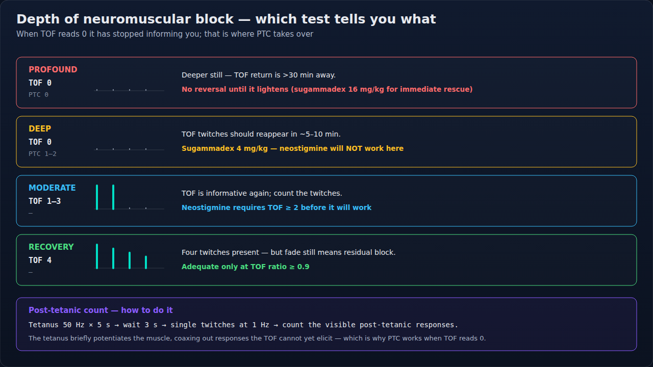 Profound, deep, moderate and recovery block with the twitch pattern drawn for each, what each depth permits for reversal, and how post-tetanic count is performed.