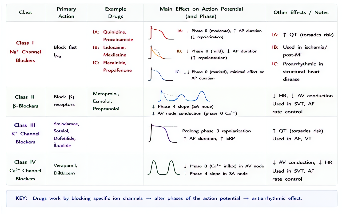 Antiarrhythmic drugs by Vaughan-Williams classification: Class I (Na+ blockers, Ia/Ib/Ic), Class II (beta-blockers), Class III (K+ blockers, amiodarone/sotalol), Class IV (Ca2+ blockers, verapamil/dil