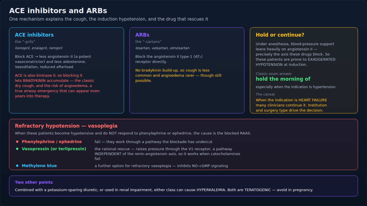 How ACE inhibitors and ARBs act on the renin-angiotensin system and what follows from that block. Trace it as one chain: the blocked step explains the side effects, the induction hypotension, and why