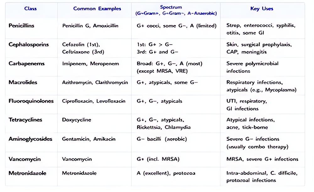 Antibiotic spectrum common classes: penicillins, cephalosporins (1st-5th gen coverage), vancomycin (MRSA), aminoglycosides (gram-neg), fluoroquinolones, metronidazole (anaerobes), clindamycin (anaerob