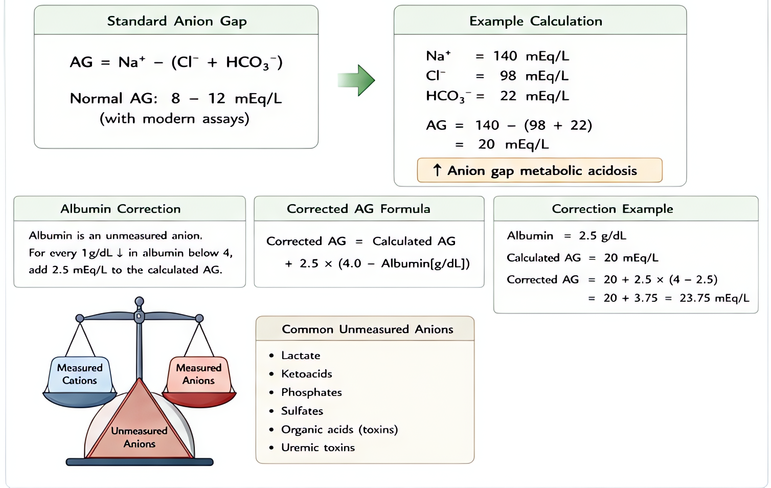 Anion gap calculation and albumin correction: AG = Na - (Cl + HCO3), normal 8-12; corrected AG = AG + 2.5*(4 - measured albumin); albumin is major unmeasured anion, hypoalbuminemia masks elevated AG.
