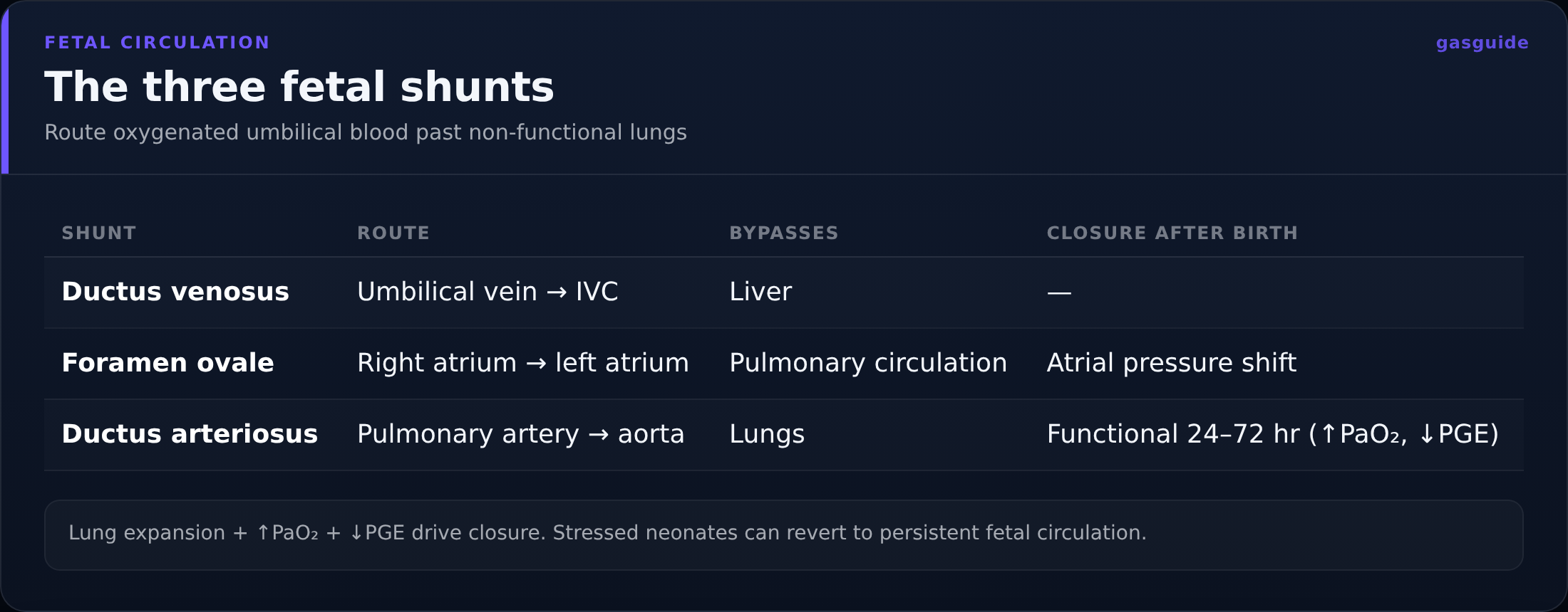 The three fetal shunts — Route oxygenated umbilical blood past non-functional lungs