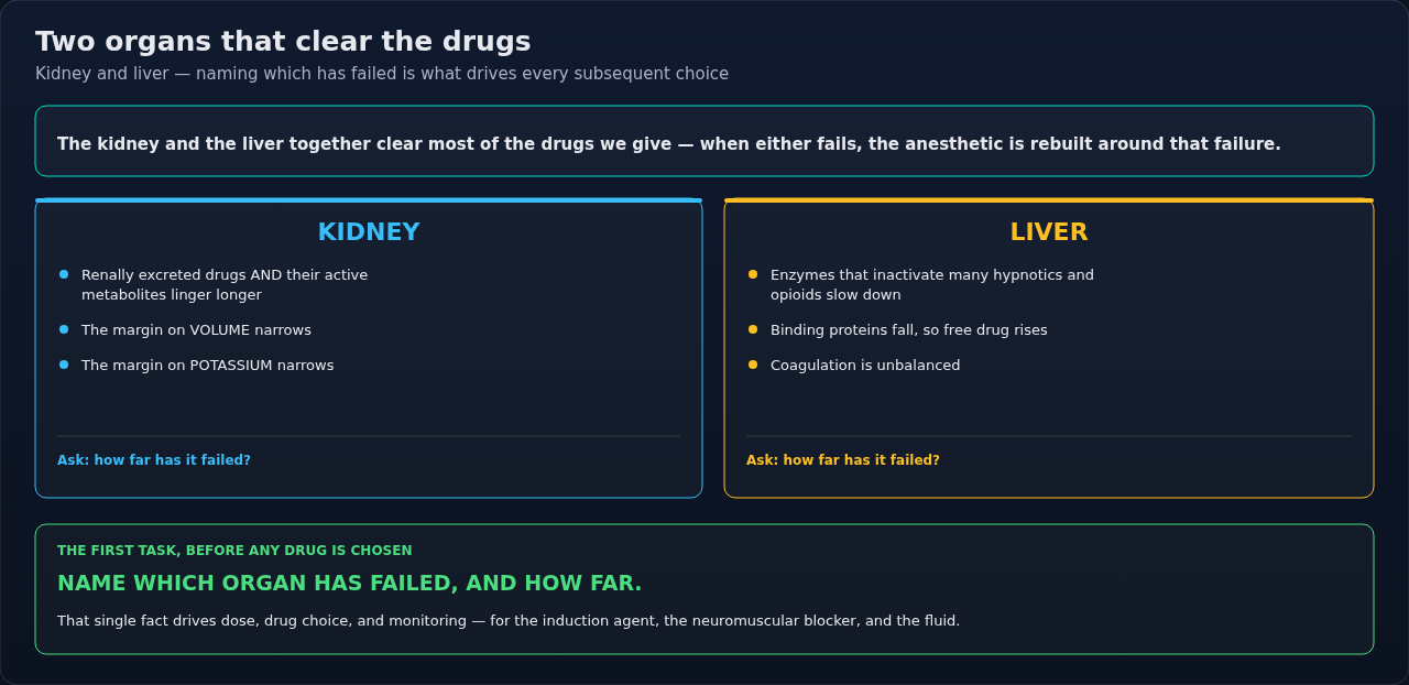 The kidney and the liver as the two organs that clear most of what we give, and what shifts in the anesthetic when either one fails. Name the failed organ and how far it has gone first; the rest follo