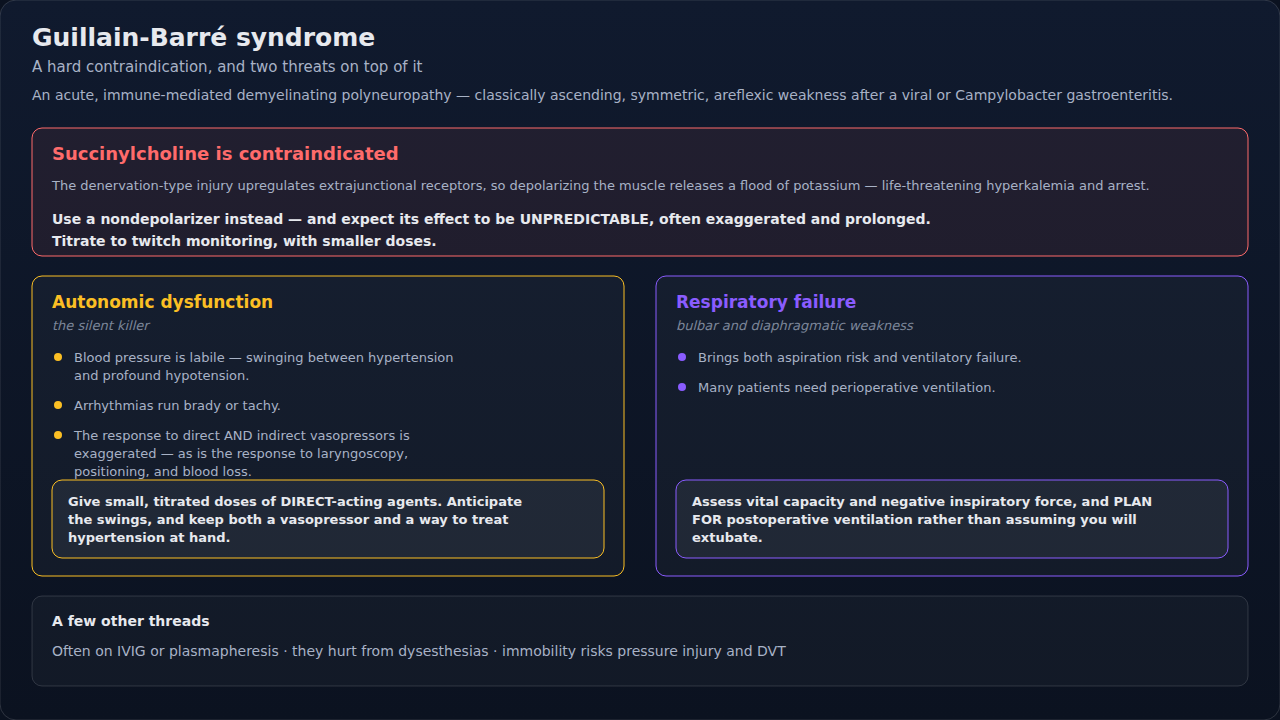 Guillain-Barré syndrome for the anesthetist: the hard contraindication to succinylcholine, with the respiratory and autonomic threats layered on top. Treat the three as one plan rather than separate c