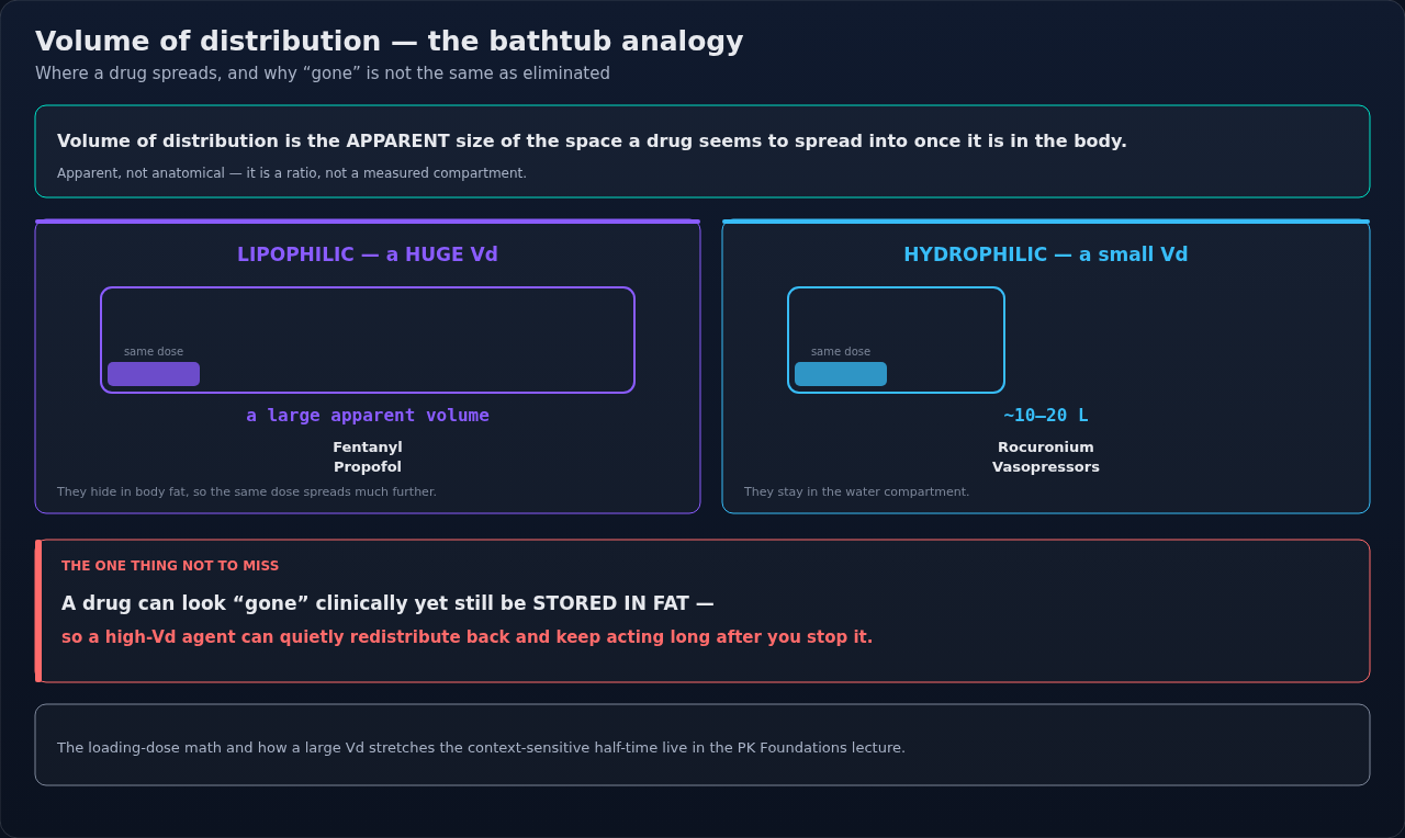 The bathtub analogy for volume of distribution: the apparent space a drug spreads into once it is in the body. Read the tub's size as a stand-in for how much drug sits outside the bloodstream, not as