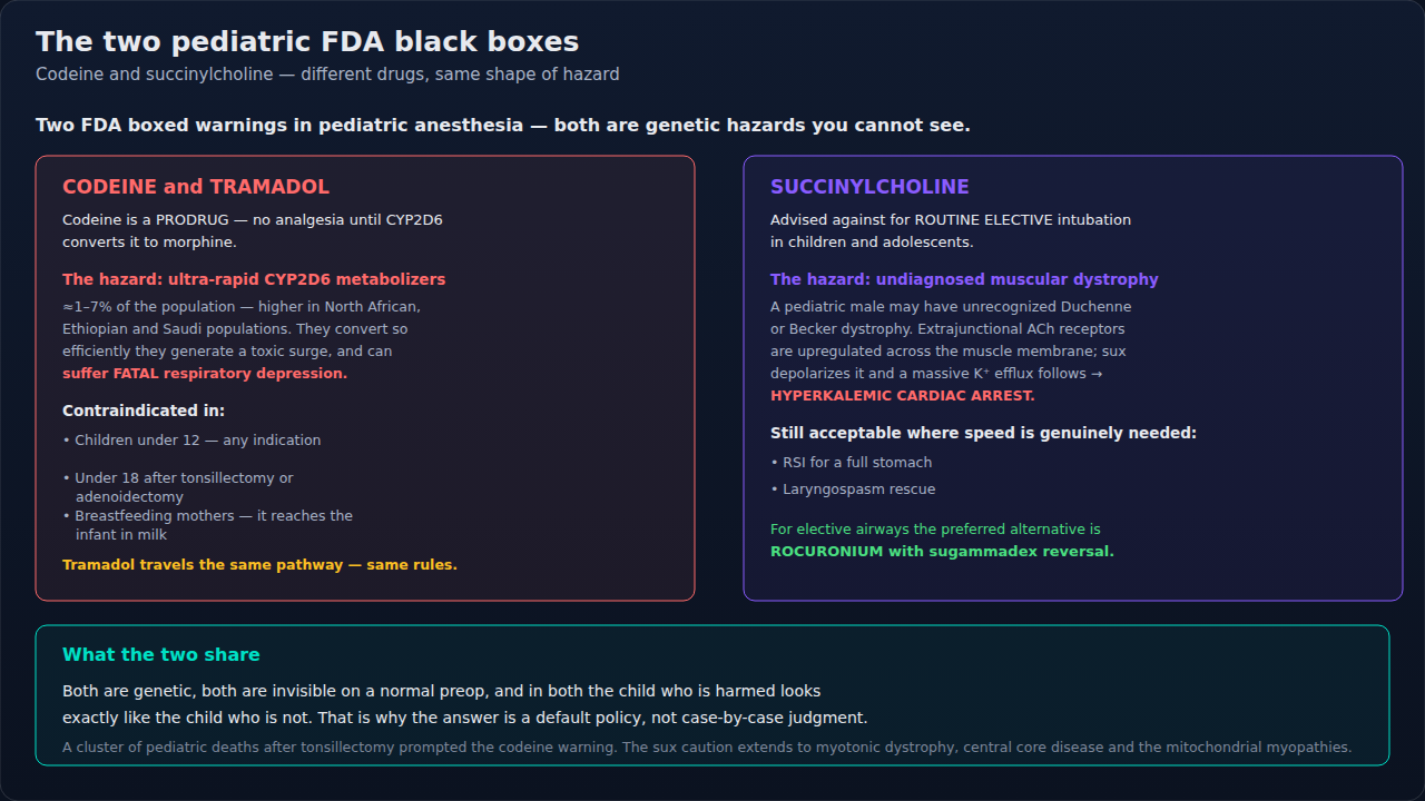 Two FDA boxed warnings in pediatric anesthesia, drawn side by side because they are the same shape of hazard: a genetic vulnerability that a normal preop cannot see. Codeine is a prodrug with no analg