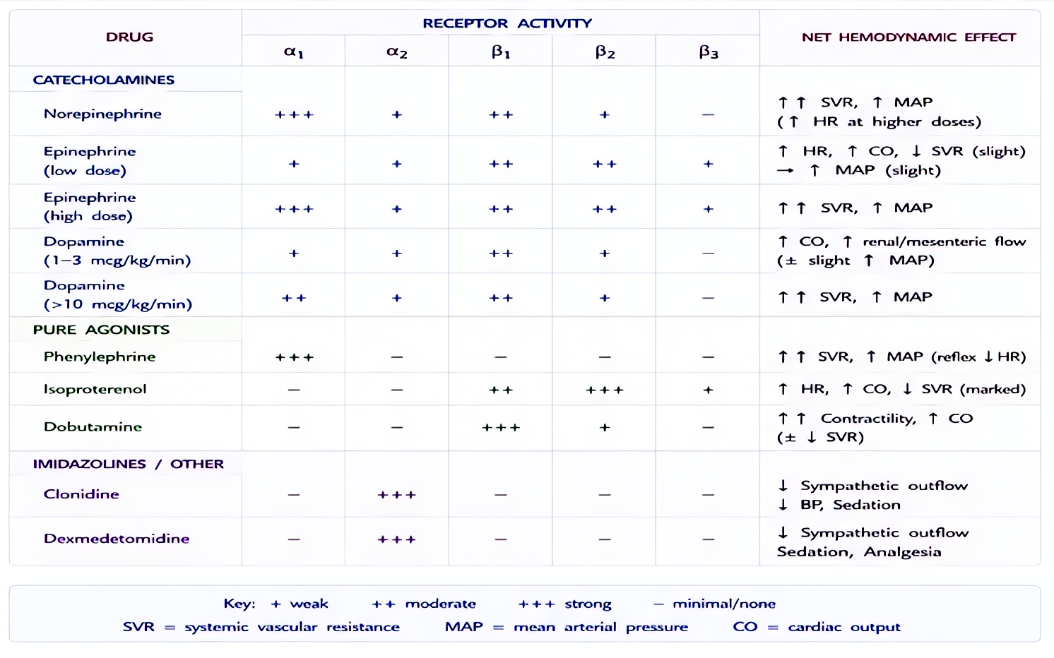 Vasoactive drugs mapped to adrenergic receptors: phenylephrine (alpha-1), norepinephrine (alpha>beta), epinephrine (dose-dependent beta low → alpha high), dobutamine (beta-1), isoproterenol (beta-1/2)