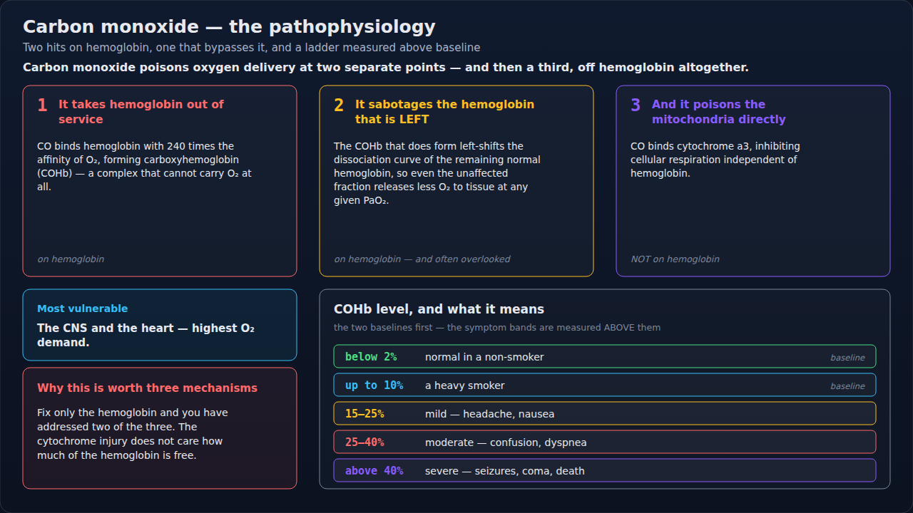 How carbon monoxide poisons oxygen delivery, drawn as separate mechanisms alongside the ladder of blood levels and symptoms. Note that one of those mechanisms bypasses hemoglobin entirely.