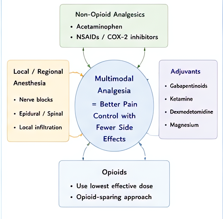 Multimodal analgesia: target multiple pain pathways - opioids (mu), NSAIDs (COX), acetaminophen (central), gabapentinoids (alpha-2-delta), ketamine (NMDA), local anesthetics (Na channel), regional blo