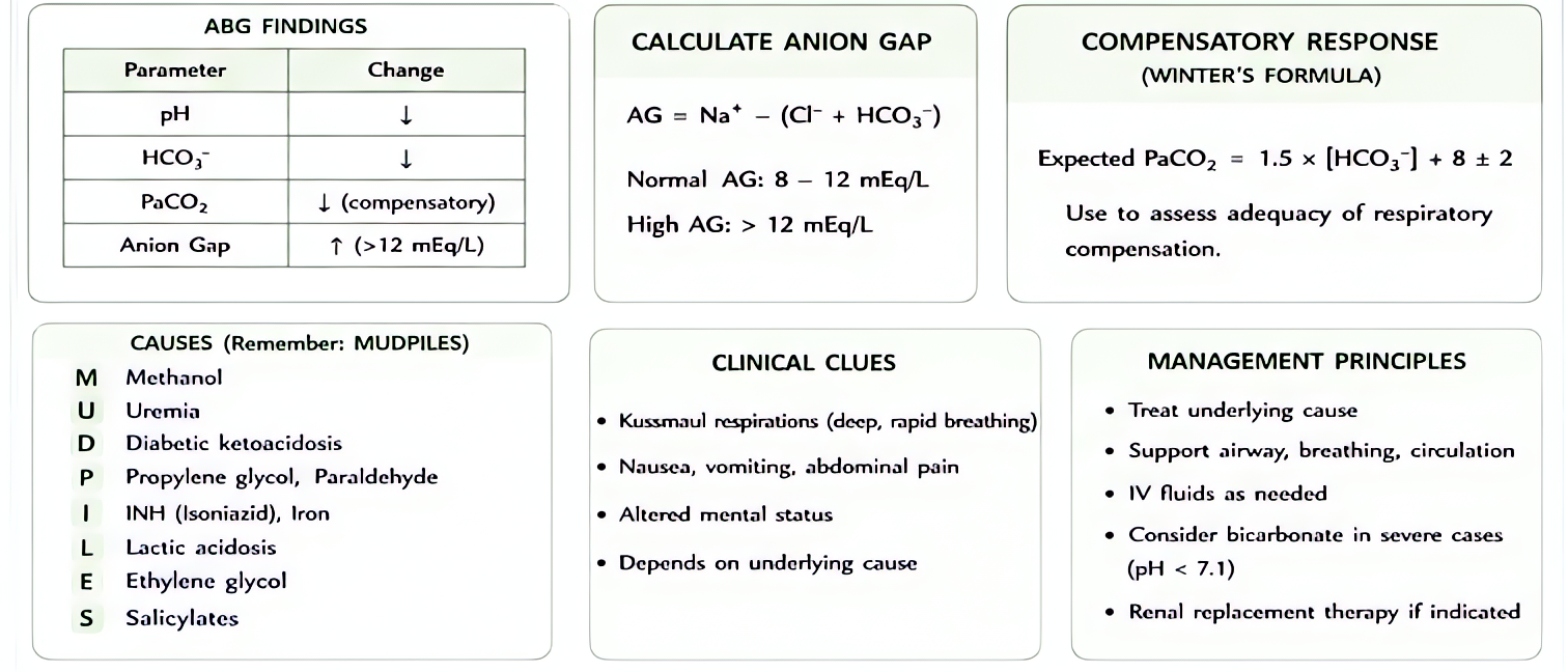 Metabolic acidosis anion gap workup: AG = Na - (Cl + HCO3); normal 8-12. High AG: MUDPILES (methanol, uremia, DKA, propylene glycol/paraldehyde, INH/iron, lactate, ethylene glycol, salicylates). Norma