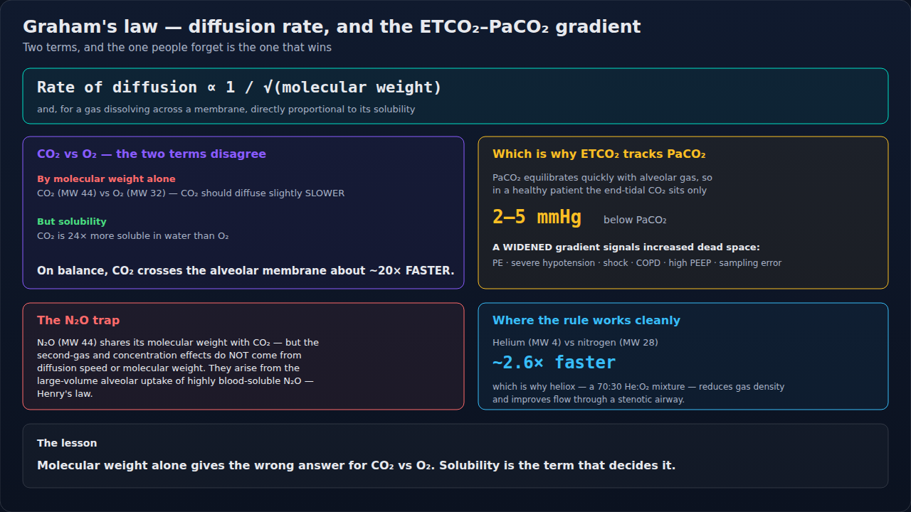 Graham's law applied to the gases you actually manage, where molecular weight and solubility pull in opposite directions. Note that weight alone gives the wrong answer for CO2 versus O2 until solubili