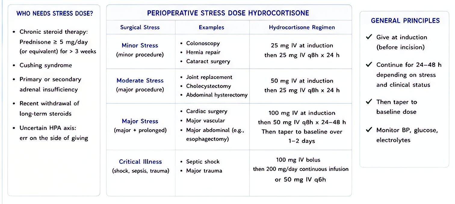 Stress-dose steroid protocol: minor surgery 25 mg hydrocortisone, moderate surgery 50-75 mg/day x 1-2 days, major surgery 100-150 mg/day x 2-3 days. Indicated for patients on chronic steroids (>5 mg p