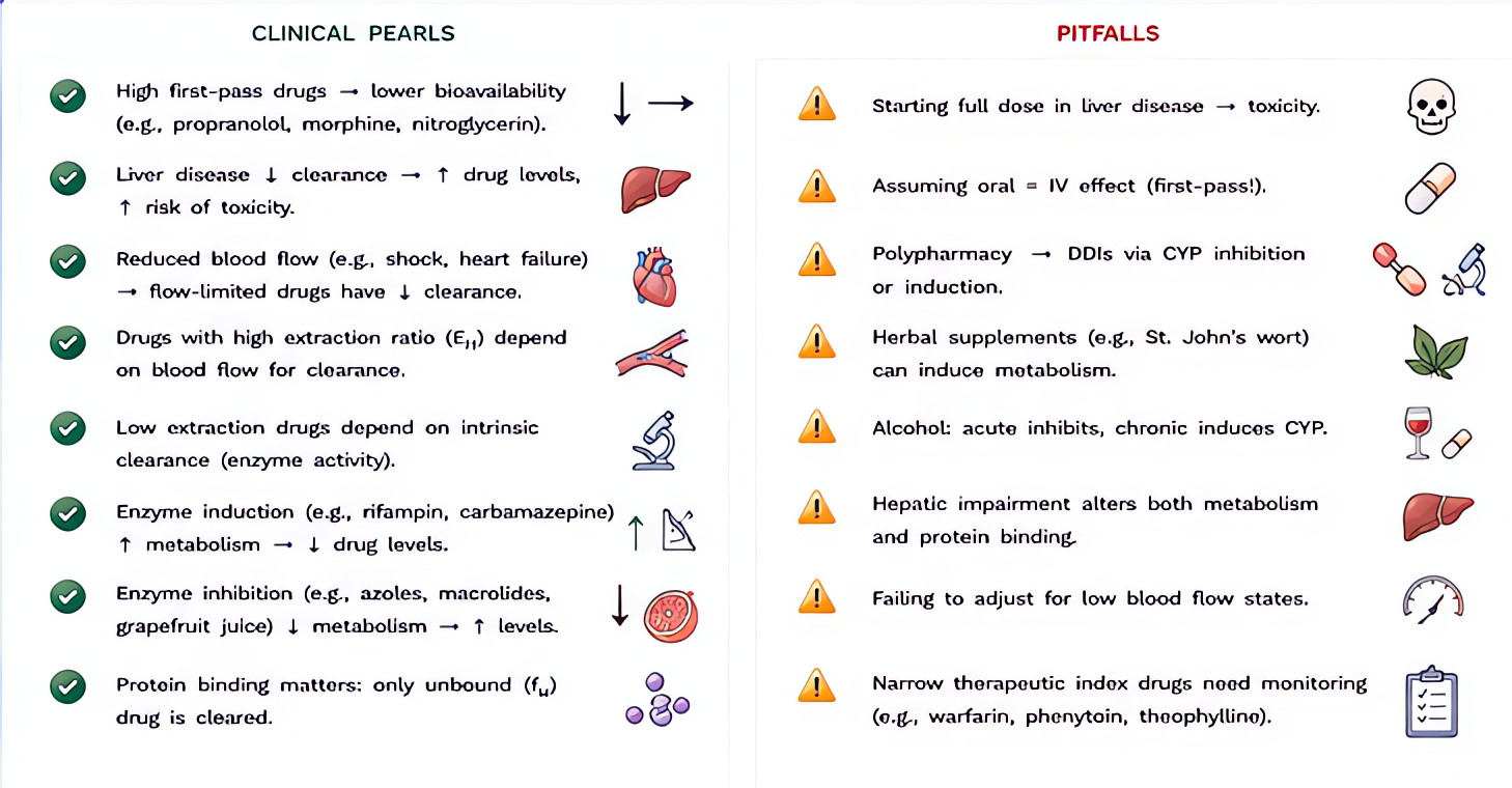Hepatic clearance clinical pearls and pitfalls: cirrhosis reduces clearance unpredictably; protein binding alters free drug; pseudocholinesterase deficiency prolongs sux/mivacurium; reduce dosing in a