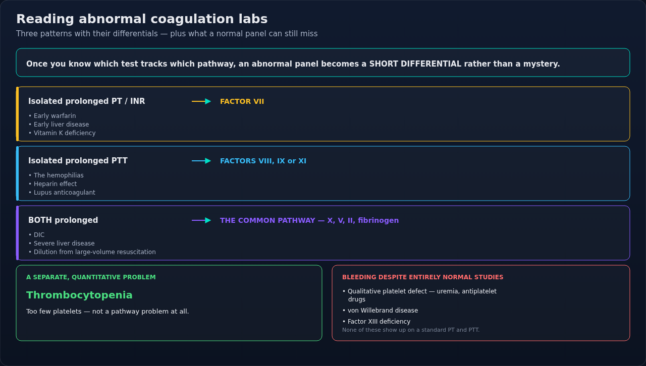 Turning an abnormal coagulation panel into a short differential — which test is prolonged, and what that implicates. Note also the patient who bleeds despite normal studies; that pattern has its own l