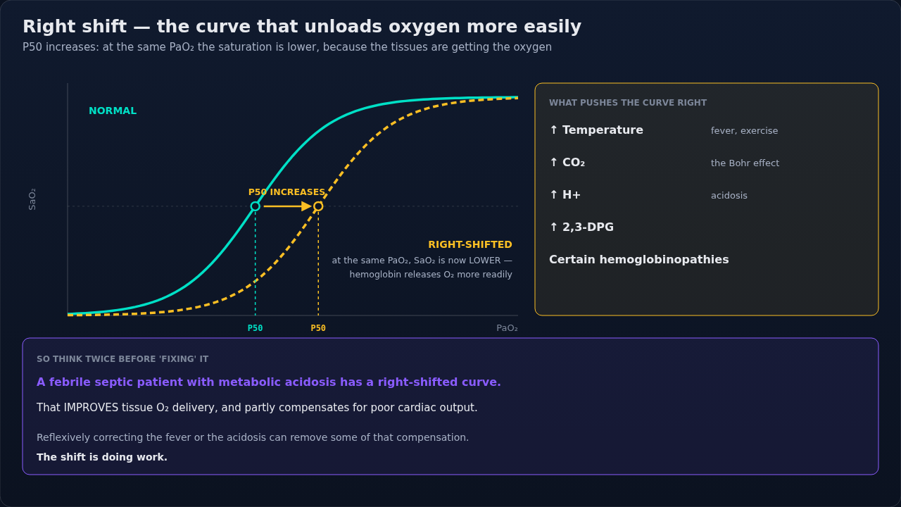 The oxyhemoglobin dissociation curve drawn normal and right-shifted, with P50 marked on each and the factors that push it right. Compare the two curves at one PaO2 to see what the shift buys.