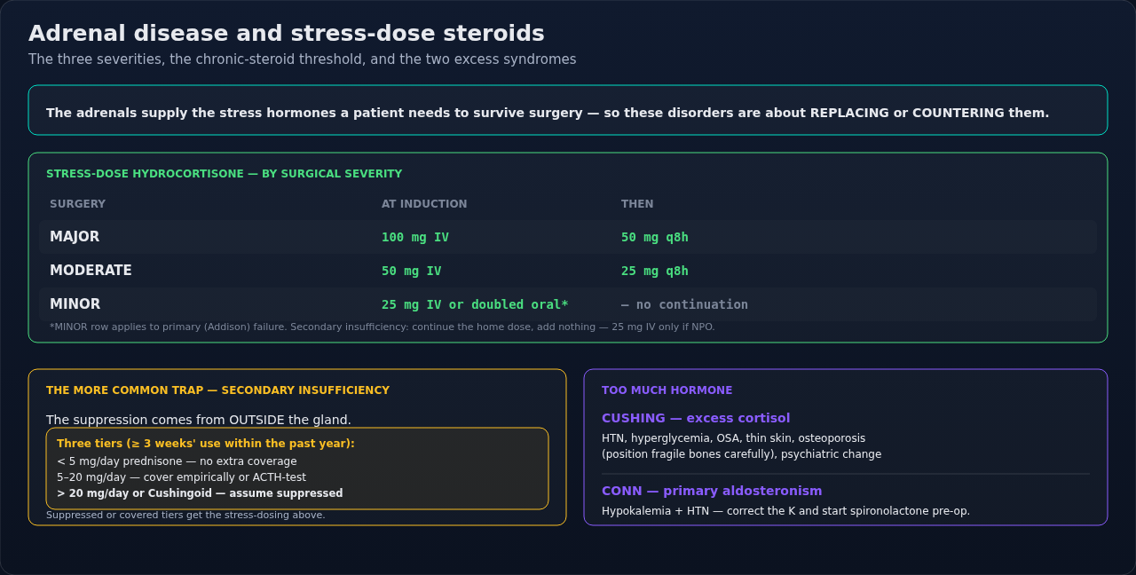 Adrenal disease in the surgical patient — steroid coverage graded by surgical severity, plus the hormone-excess syndromes. Settle which kind of insufficiency you are treating first; the two part ways