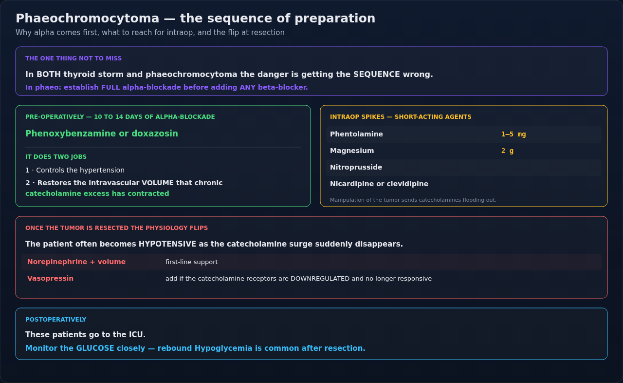 Pheochromocytoma management in sequence, from preoperative blockade through the intraoperative swings to the post-resection crash. The sequence is the teaching point, not the drug list.