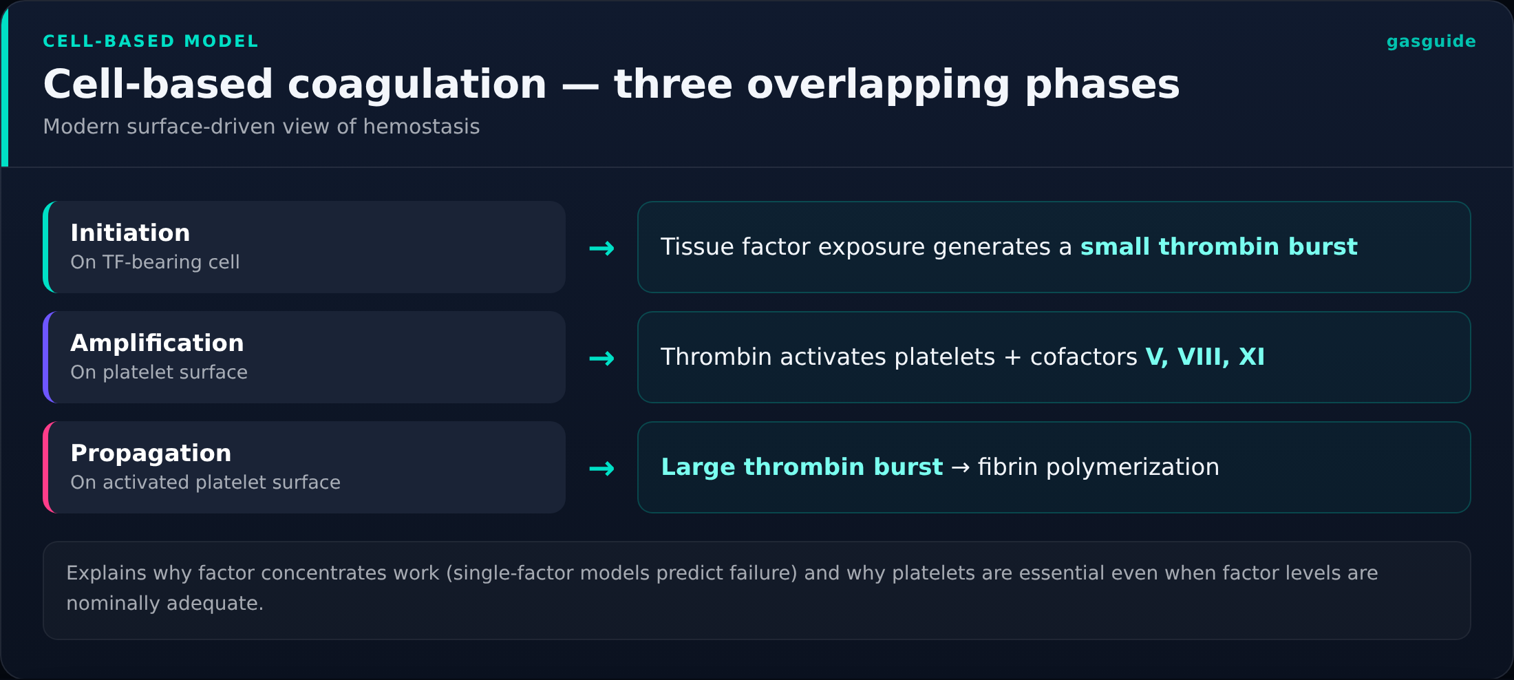 Cell-based coagulation — three overlapping phases — Modern surface-driven view of hemostasis