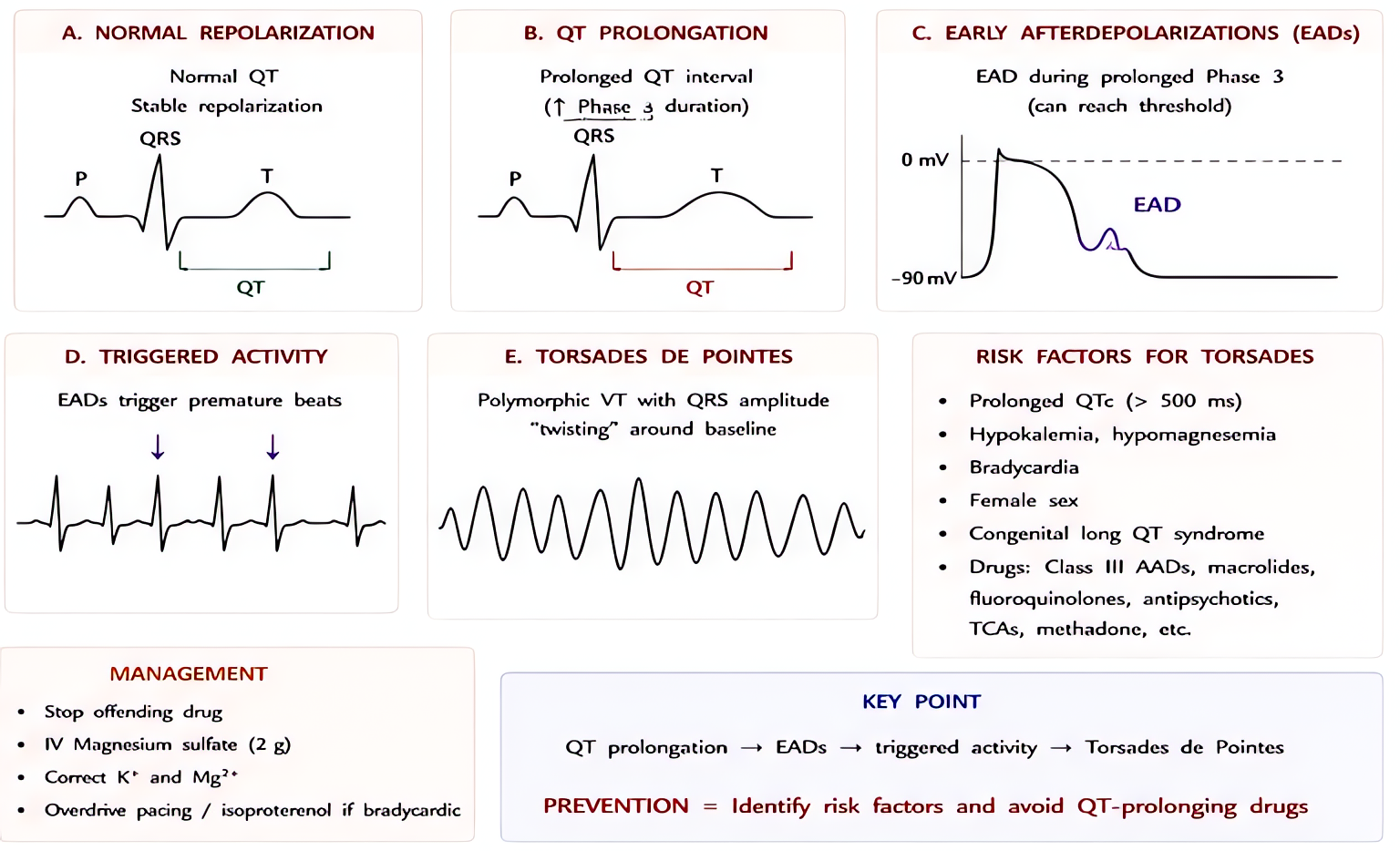Torsades de pointes and QT prolongation mechanism: triggered by early afterdepolarizations (EADs) during prolonged Phase 3 repolarization; treat with magnesium 2 g IV, overdrive pacing, withdraw QT-pr