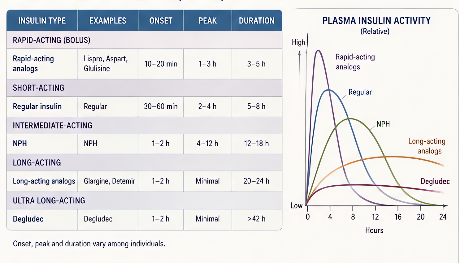 Insulin types - onset, peak, duration: rapid-acting (lispro, aspart, glulisine) onset 10-20 min, peak 1-3 h, duration 3-5 h; regular short-acting onset 30-60 min; NPH intermediate; long-acting (glargi