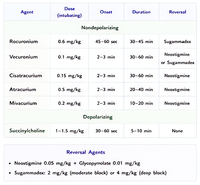 Neuromuscular blocking agents organized by onset, duration, metabolism (succinylcholine, rocuronium, vecuronium, cisatracurium) with depolarizing vs nondepolarizing mechanism and reversal consideratio