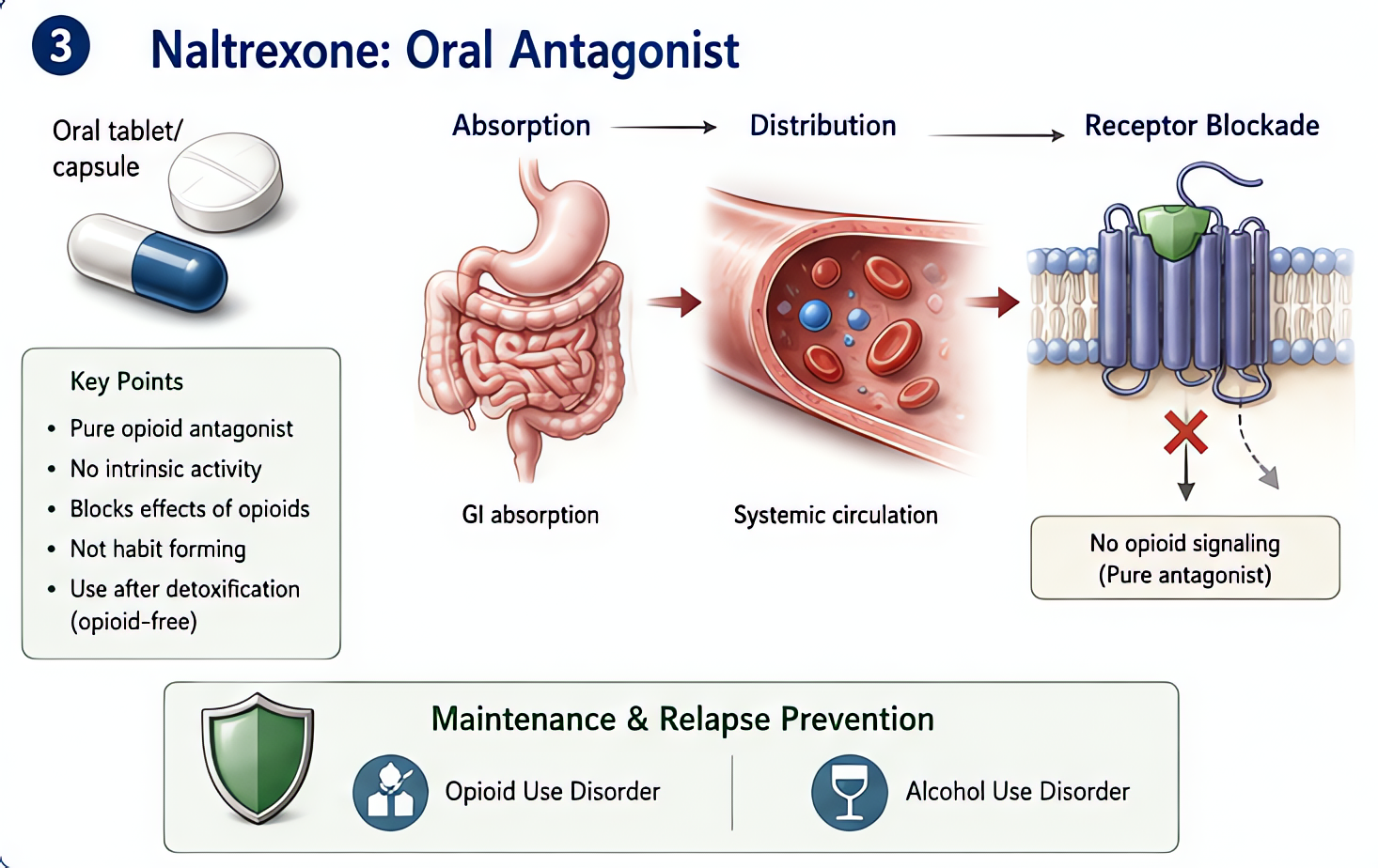 Naltrexone: oral pure opioid antagonist used for opioid use disorder and alcohol use disorder maintenance; long-acting (24-72h PO, 30 days IM Vivitrol); requires opioid-free status to avoid precipitat