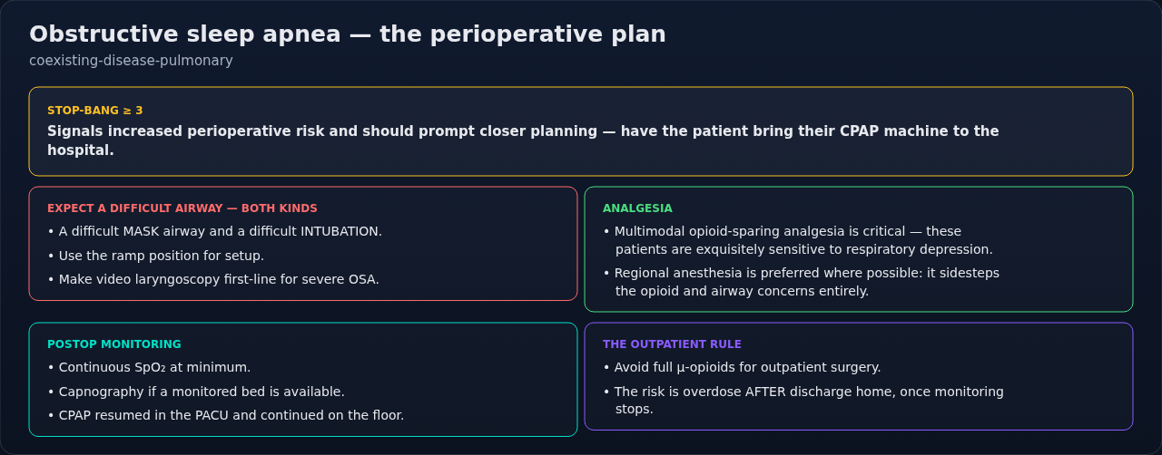 The perioperative plan for obstructive sleep apnea, from screening through airway setup, analgesia, and postoperative monitoring. The thread running through it is sensitivity to respiratory depression
