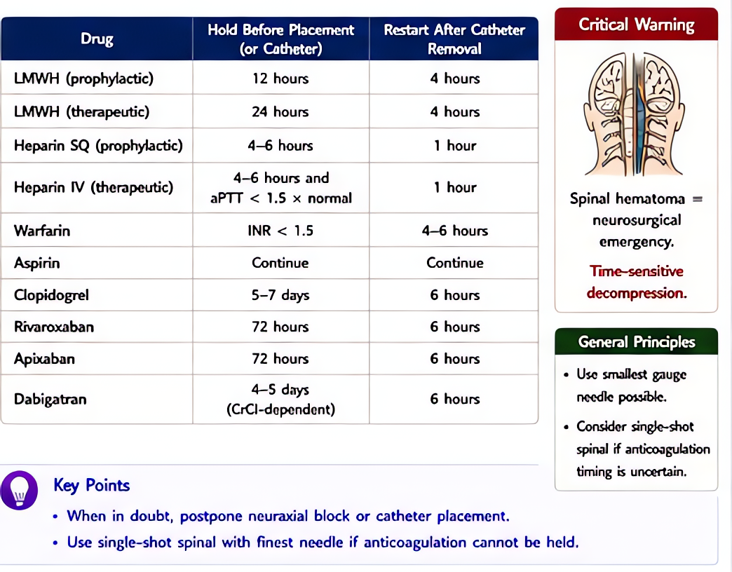 Neuraxial block and anticoagulation - ASRA hold times 2018: LMWH prophylactic 12h, therapeutic 24h; warfarin INR <1.5; rivaroxaban/apixaban 72h; clopidogrel 7 days; restart 24h after catheter removal.