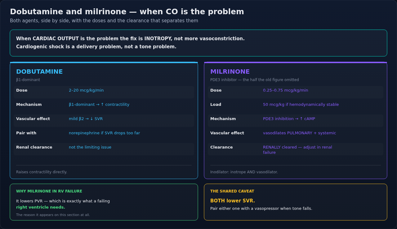 Dobutamine and milrinone side by side — the two inotropes reached for when low cardiac output, rather than low tone, is the problem. Note how each drug's vasodilator effect is what forces a vasopresso