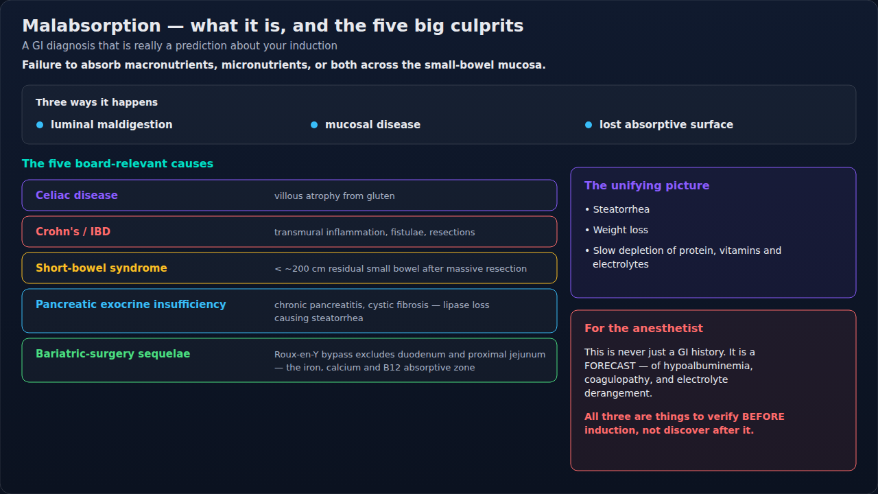 What malabsorption is, and the causes worth knowing grouped by where absorption fails. For the anesthetist each entry is a forecast of the nutritional and clotting derangements to verify before induct