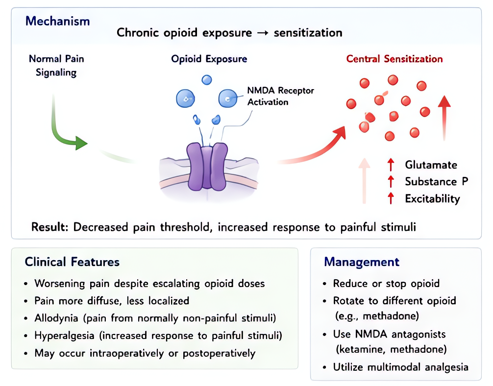 Opioid-induced hyperalgesia (OIH): paradoxical sensitization with chronic or high-dose opioid exposure via NMDA activation and central sensitization. Management: opioid rotation, ketamine, dexmedetomi