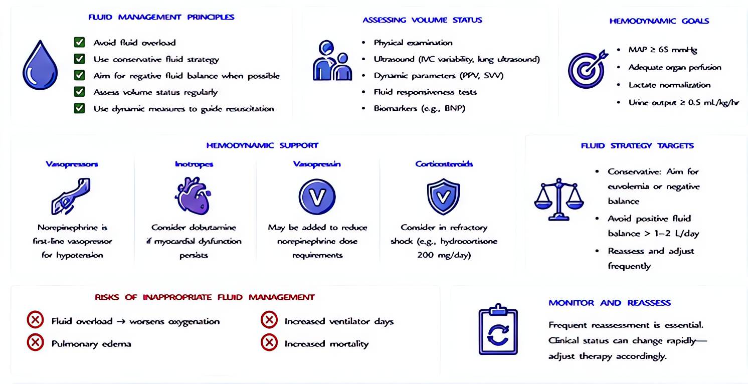 Fluid and hemodynamic support in critical illness: conservative fluid strategy (avoid a positive balance after resuscitation), norepinephrine-first vasopressor support with vasopressin as a norepineph