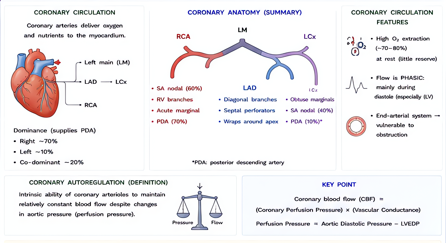 Coronary circulation autoregulation overview: maintains CBF constant across CPP 60-140 mmHg by adjusting vascular resistance via metabolic (adenosine, NO), myogenic, neural mechanisms.