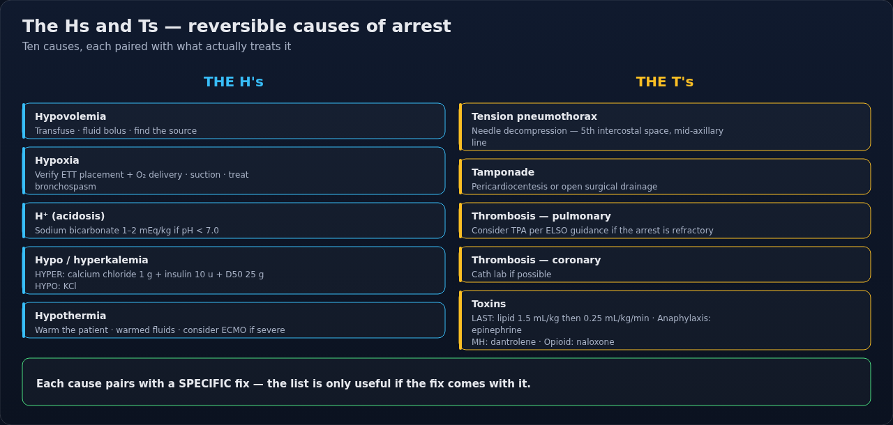 The Hs and Ts of reversible cardiac arrest, each cause paired with the specific fix it calls for. Use it as the prompt you run through during a code, not as a list to recite.