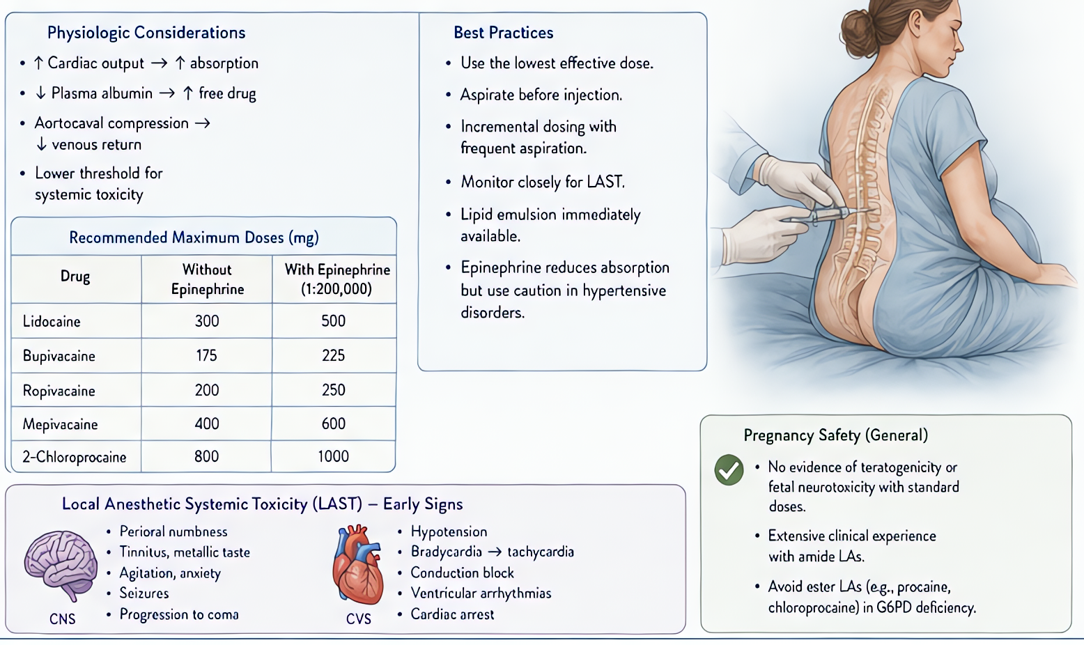 Local anesthetic safety in OB: pregnant patients have increased LAST risk due to elevated cardiac output, decreased protein binding, progesterone-induced cardiac sensitivity; max doses reduced; epinep