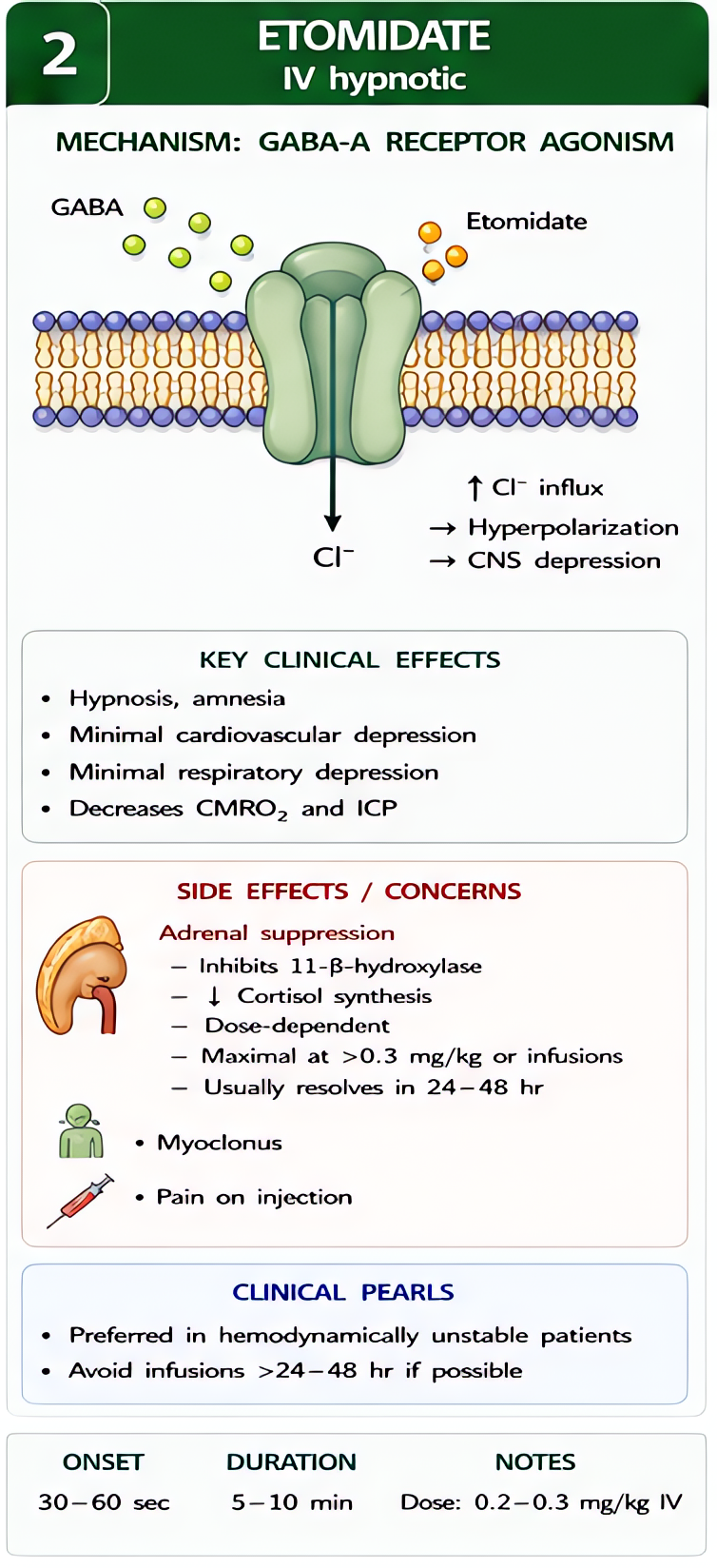 Etomidate induction agent: GABA-A agonism with hemodynamic stability; minimal change in HR/MAP/CO. Preferred in unstable hemodynamics. Side effects: myoclonus, pain on injection, adrenal suppression (