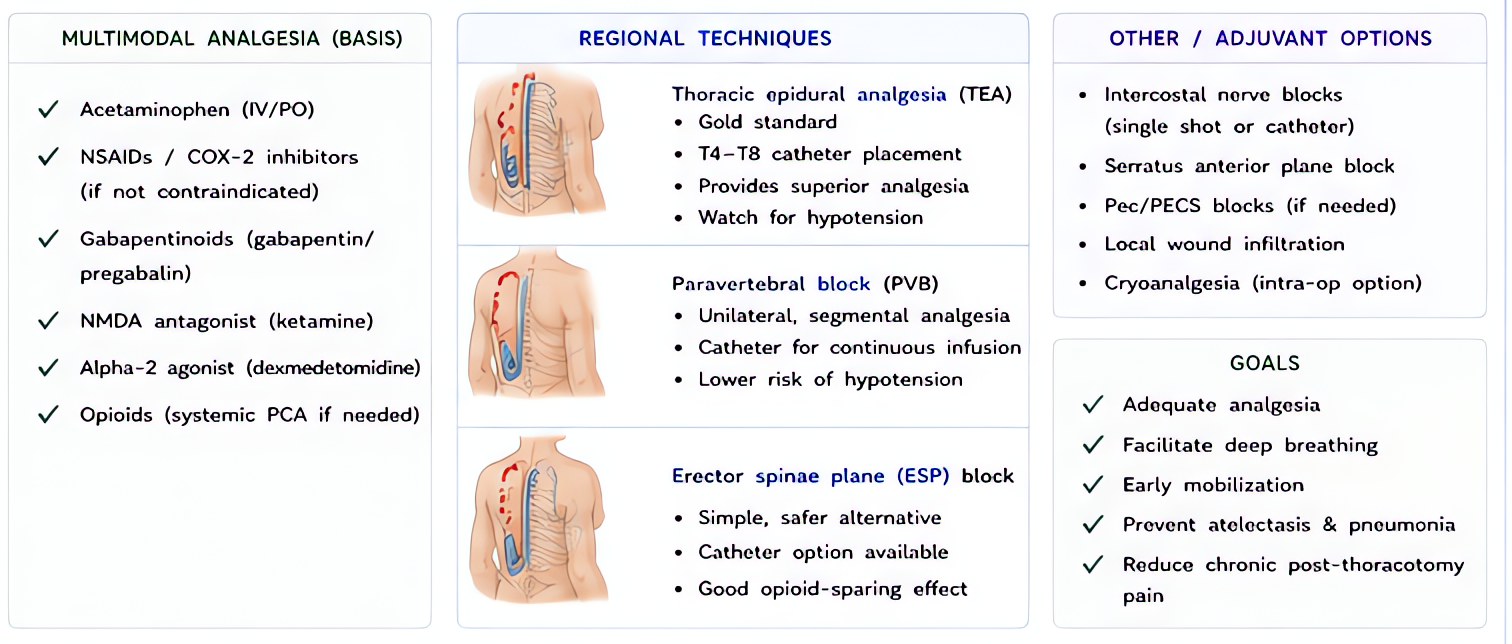 Post-thoracotomy pain management: thoracic epidural (gold standard), paravertebral block, intercostal blocks, erector spinae, serratus plane; multimodal with acetaminophen, NSAIDs, opioids. Adequate a