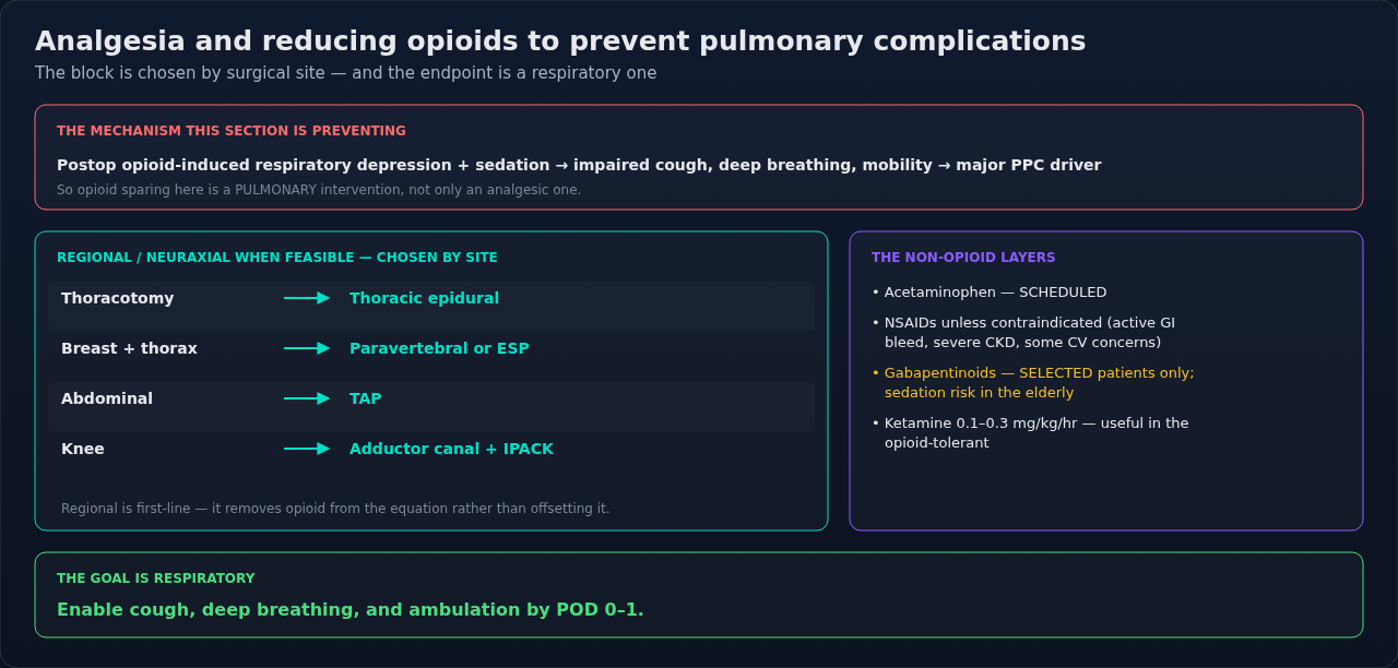 Analgesia treated as a pulmonary intervention, with the regional and non-opioid options laid out against what they replace. Read it by surgical site, and judge each choice by whether the patient can c