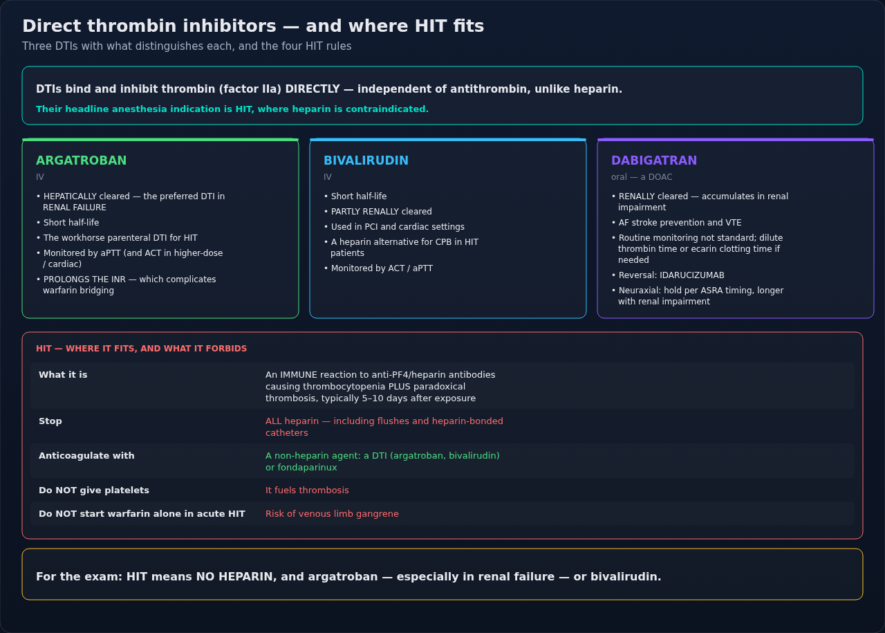 The three direct thrombin inhibitors compared column by column, with the HIT rules beneath. Route and clearance separate the columns — they decide which agent fits which patient.
