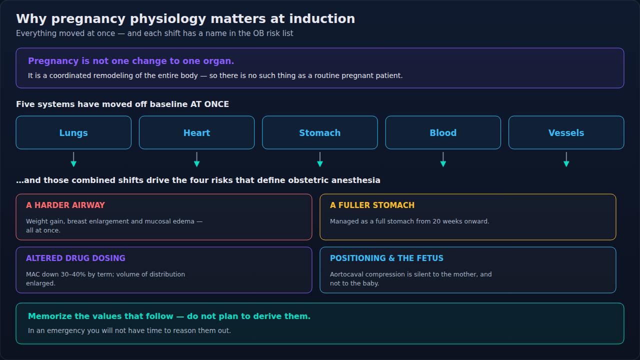 Five systems moved off baseline at once, mapped to the four risks that define obstetric anesthesia — a harder airway, a fuller stomach, altered drug dosing and positioning that compromises the fetus.