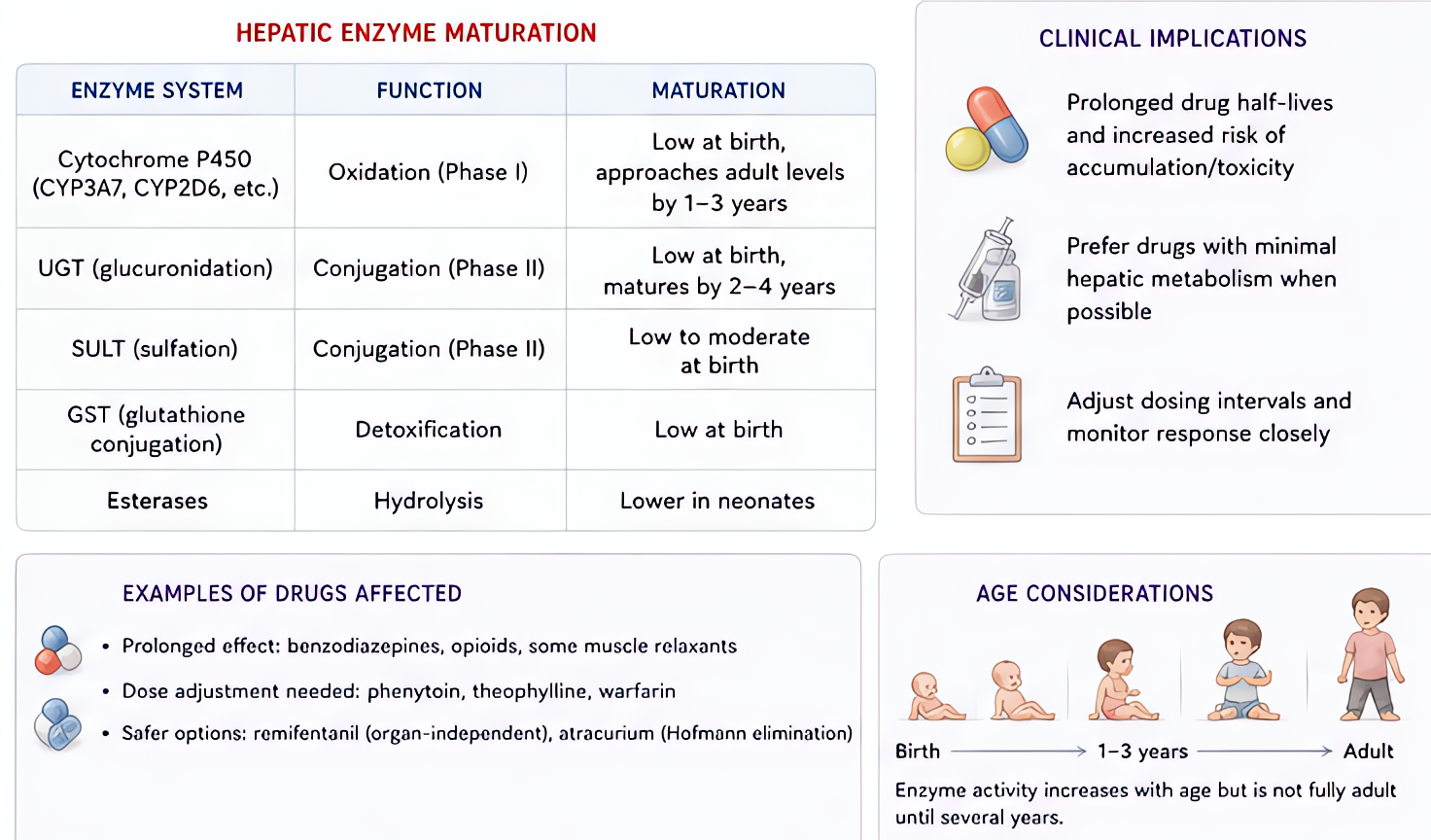 Pediatric hepatic enzyme immaturity: CYP/Phase I and Phase II enzymes mature postnatally, causing prolonged drug effect; dose adjustments and longer monitoring required for hepatically cleared anesthe
