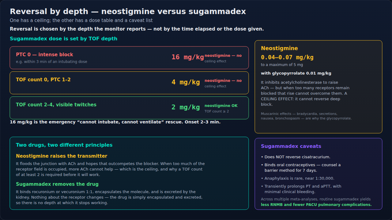 Choosing a reversal agent from what the monitor reports, comparing neostigmine and sugammadex across increasing depths of block. Read it from the measured depth first: the depth selects the drug, and