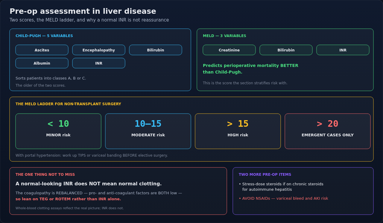 The scores that frame perioperative risk in liver disease, with the workup and drug cautions that follow from them. What matters most here is what the routine labs fail to show in these patients.